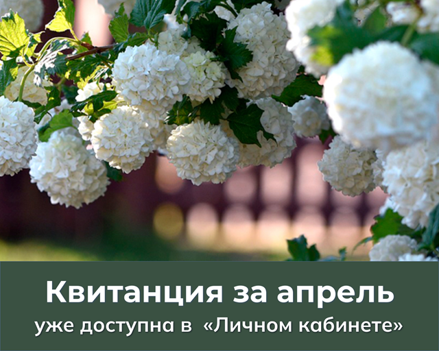 kvitanciya 04 2025