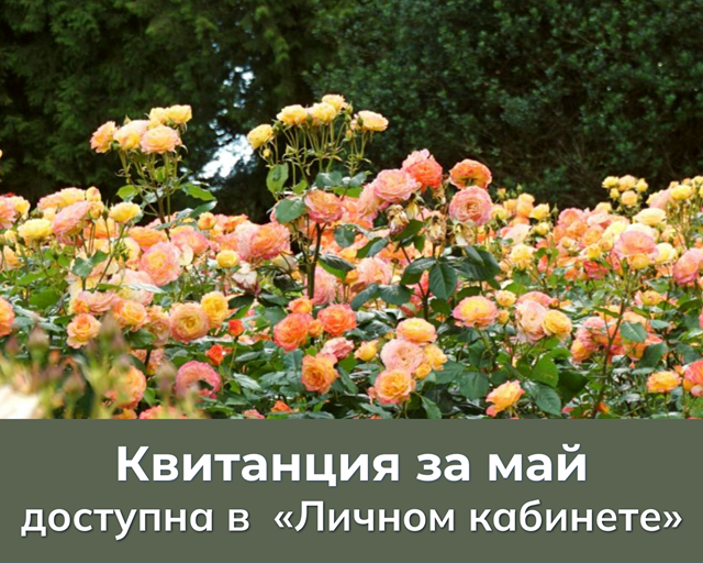 foto 2025 06 03 15 59